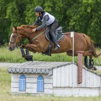 Кросс :: Татьяна Титова Кросс :: Татьяна Титова