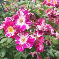 ,,, :: Сергей Тимоновский