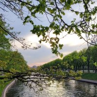 Фонтанка в сумерках :: Татьяна Машошина