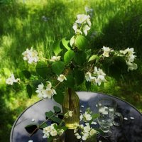 С добрым утром! :: veilins veilins