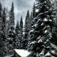 Урман :: александр 