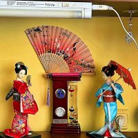 ВОСТОЧНЫЕ   НАРЯДЫ :: Анатолий Малобродский