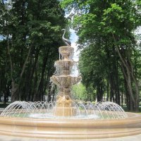 Фонтан с лебедем :: Дмитрий Никитин