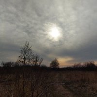 Дыра :: Марина Виноградова