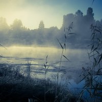 Рассвет. :: Игорь Викторов