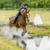 Кросс :: Татьяна Титова Кросс :: Татьяна Титова