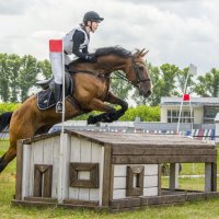 Кросс :: Татьяна Титова