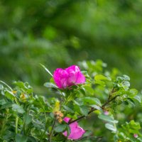 ___ :: Yuriy V ___ :: Yuriy V