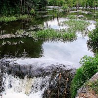 Большой Знаменский пруд :: Анатолий Колосов