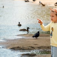 Считалочка. :: Владимир Безбородов Считалочка. :: Владимир Безбородов