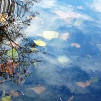 Пруд :: Натали 