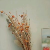 ... :: Станислав Мутовин