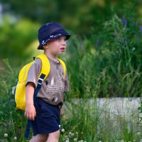 Прогулка ... :: Евгений Хвальчев