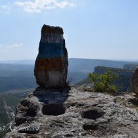 Природа Крыма :: Amazing Cosmea
