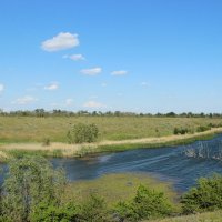 Донская степь. :: Виктор 