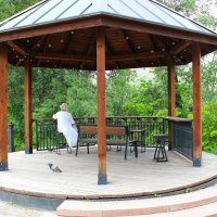 Дама на променаде :: Василий 