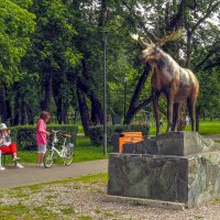 В Летнем Парке :: юрий поляков