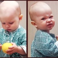 "Знакомство" с лимоном. :: Ольга Довженко "Знакомство" с лимоном. :: Ольга Довженко