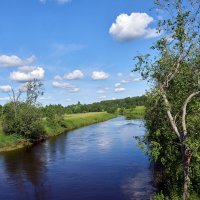 Ленинрадская область, река Оредеж :: Юрий Бутусов
