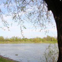 Стрельна. Орловский парк :: Наталья Герасимова