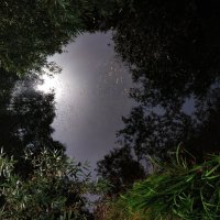 * * * :: Андрей Лукьянов