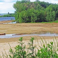 Июнь...Испохабленный берег! :: Владимир 