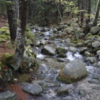 Горы, ручьи, леса, валуны... - это всё в г. Банско :: Эмиль 