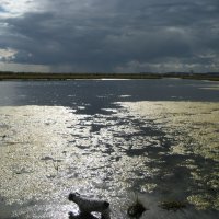 Лето :: Anna Ivanova Лето :: Anna Ivanova