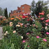 ,,, :: Сергей Тимоновский