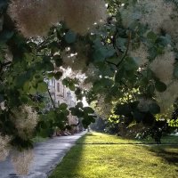 *** :: Валентина Береснева