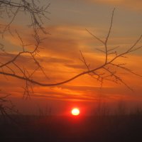 Пылает закат :: Елена Семигина