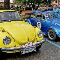 Они, наверное, вечные :: Alexandеr P