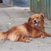 Вечернее настроение :) :: Наталья 