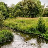 Речка Битца на просторе... :: Анатолий Колосов