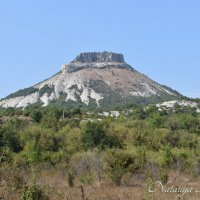 Природа Крыма :: Amazing Cosmea