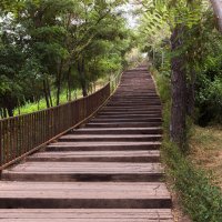 По шпалам... :: Алексей Большаков