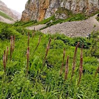 ПО ГОРАМ. :: Виктор Осипчук