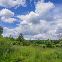 Небо июня... :: Владимир Жданов