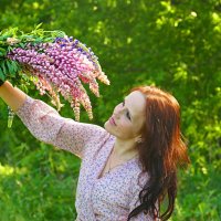 Люпины :: Олег 