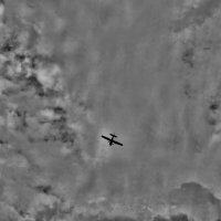 **** :: Алексей Архипов