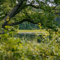 У озера :: Вячеслав Владимирович