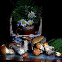 Лесные дары :: Нэля Лысенко