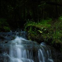 Гремучий ручей :: Дарья Панова