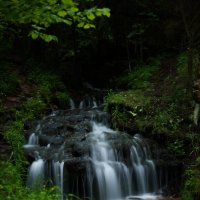 Гремучий ручей :: Дарья Панова