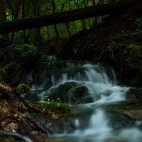 Гремучий ручей :: Дарья Панова