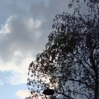 дождливый вечер :: Галина R... дождливый вечер :: Галина R...