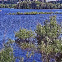 Отмели и косы на реке! :: Владимир Отмели и косы на реке! :: Владимир