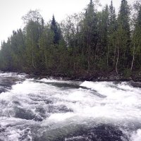 Шумит река Алтая :: Георгиевич 