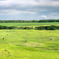 Окрестности :: Игорь Сикорский