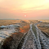 По солнечной дорожке... :: Ирина *